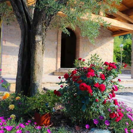 Agriturismo La Tana 卡斯泰洛城 外观 照片
