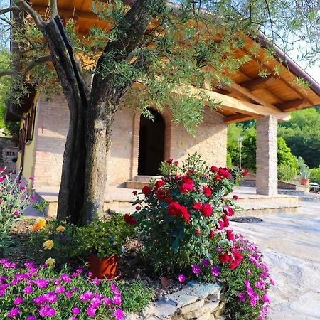 Agriturismo La Tana 卡斯泰洛城 外观 照片