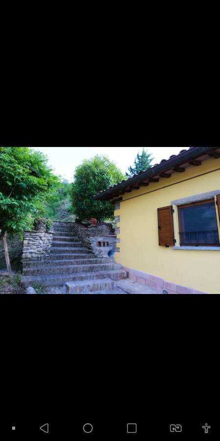 Agriturismo La Tana 卡斯泰洛城 外观 照片