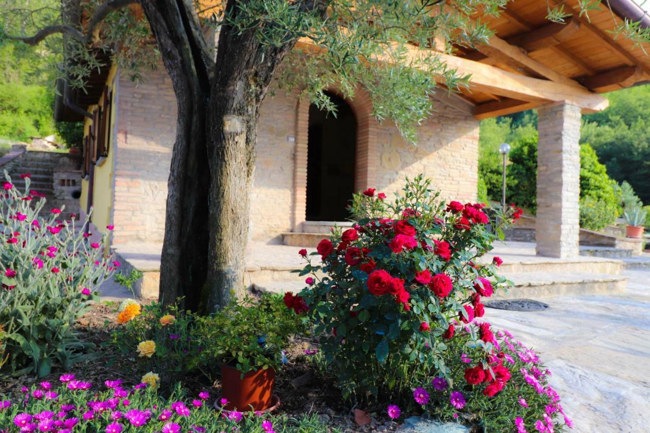 Agriturismo La Tana 卡斯泰洛城 外观 照片