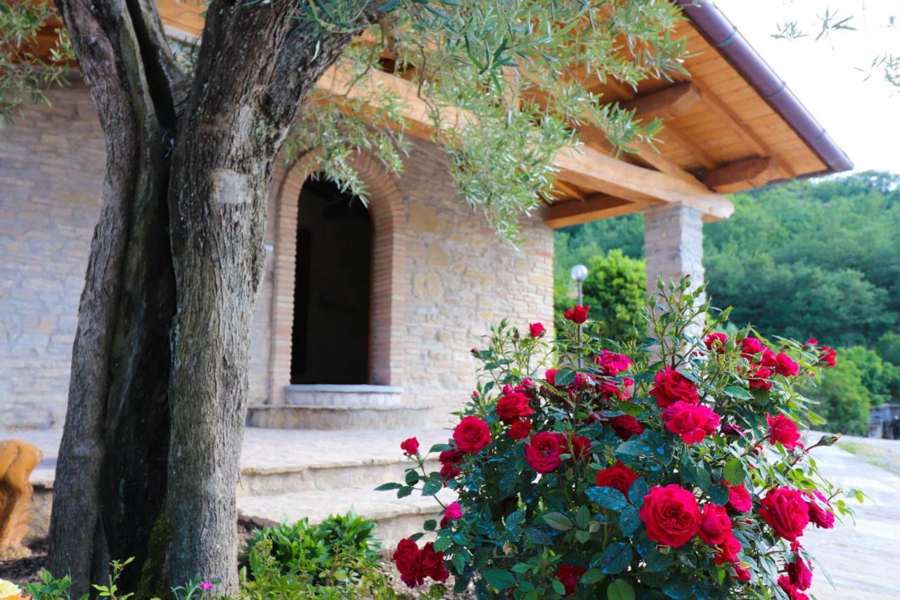 Agriturismo La Tana 卡斯泰洛城 外观 照片
