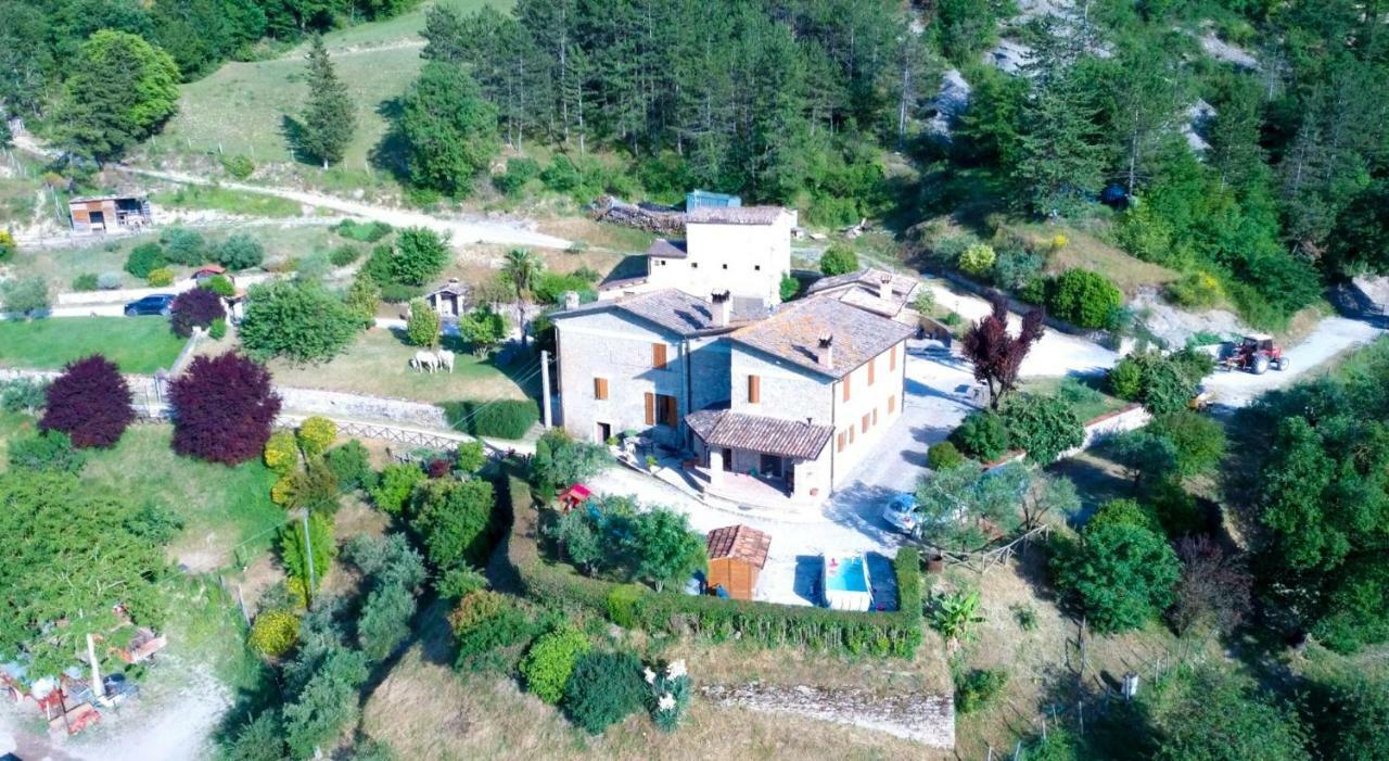 Agriturismo La Tana 卡斯泰洛城 外观 照片