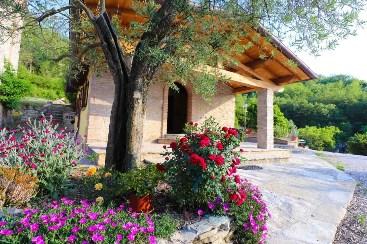 Agriturismo La Tana 卡斯泰洛城 外观 照片